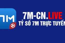 Bảng Xếp Hạng Bóng Đá Mới Nhất - live 7mcn